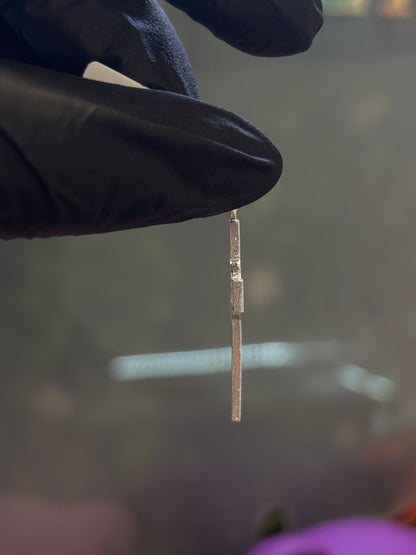 Cruz de plata San Benito