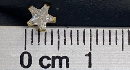 Broquel oro 10k estrella
