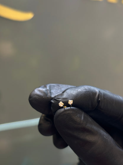 Broquel de oro 10k montadura