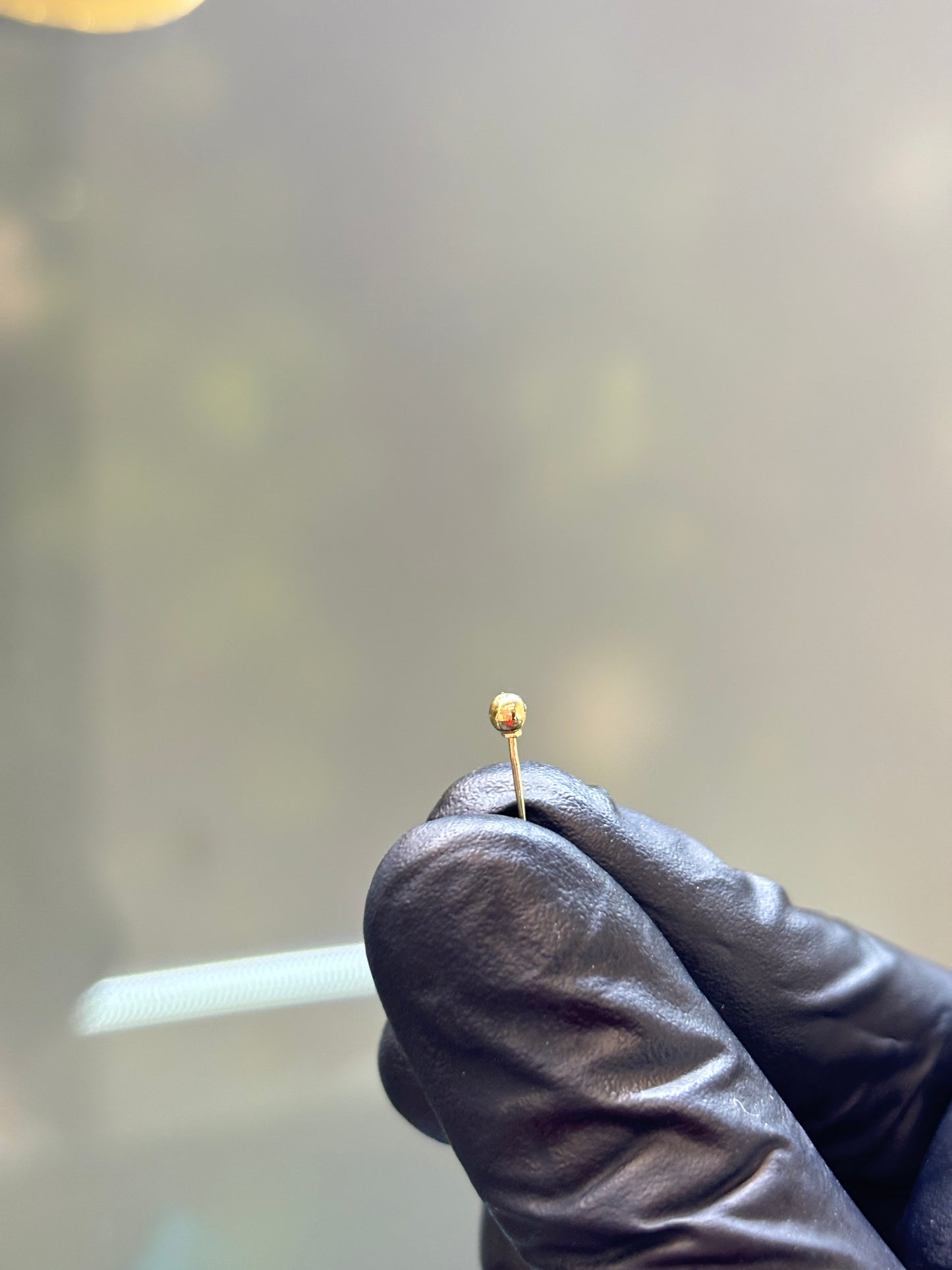 Broquel de oro 10k montadura