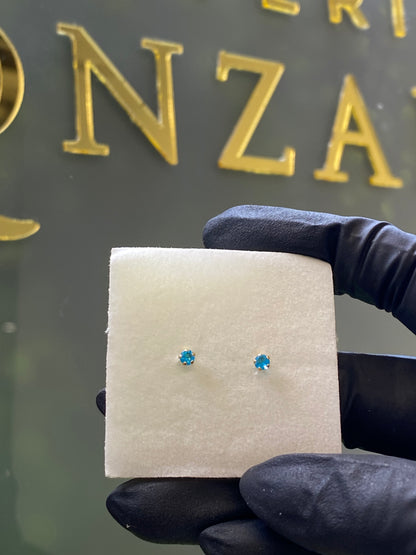 Broquel de oro 10k montadura